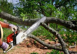 Best Weed Control  in Heidelberg, TX